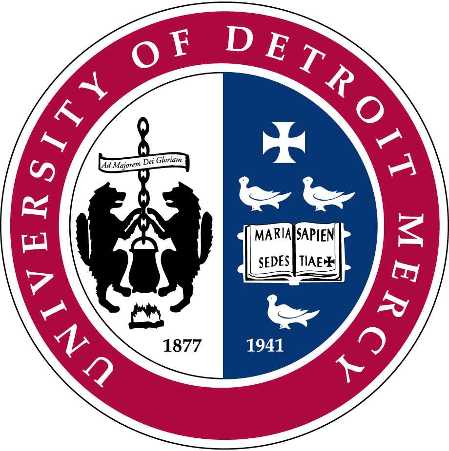 Detroit Titans 1990-Pres Alternate Logo diy DTF decal sticker